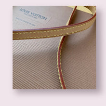 Load image into Gallery viewer, LOUIS VUITTON x Murakami Pochette