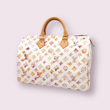 Load image into Gallery viewer, LOUIS VUITTON Watercolour Speedy