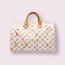 Load image into Gallery viewer, LOUIS VUITTON Watercolour Speedy
