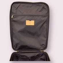 Load image into Gallery viewer, LOUIS VUITTON Pegasus 45