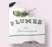 Load image into Gallery viewer, HERMES Scarf