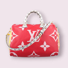 Load image into Gallery viewer, LOUIS VUITTON Speedy 30
