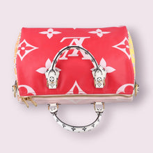 Load image into Gallery viewer, LOUIS VUITTON Speedy 30
